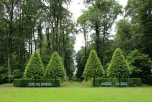 Tala y poda de árboles en altura, Cuenca y provincia Tala y poda de árboles en altura, Cuenca y provincia
