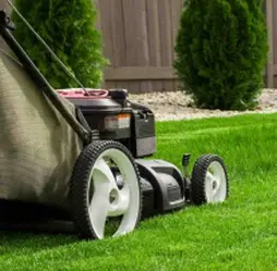 Tala y poda en Altura de árboles en Sevilla y municipios